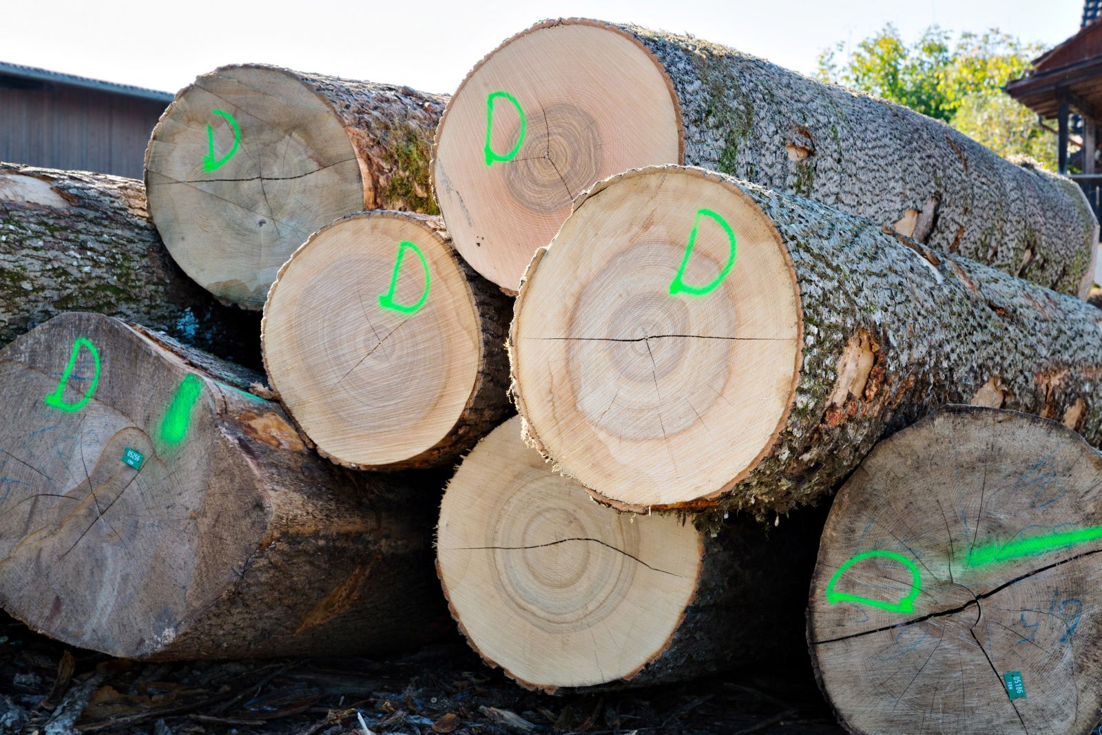 Log wood of Beerli Holzwaren AG.